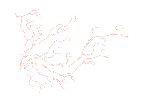 white and red veins